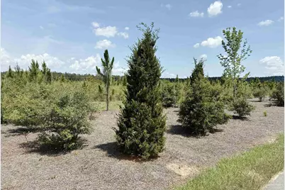 Lot 57 South Timber Ln, Jay, FL 32565 - Photo 13