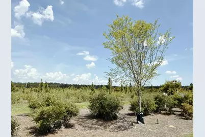 Lot 57 South Timber Ln, Jay, FL 32565 - Photo 5