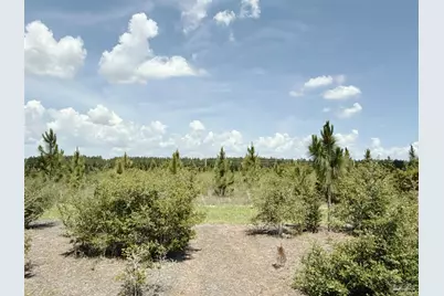 Lot 57 South Timber Ln, Jay, FL 32565 - Photo 7