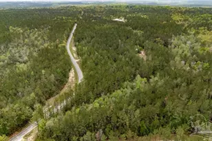 4660 Morristown Rd, Jay, FL 32565 - Photo 23