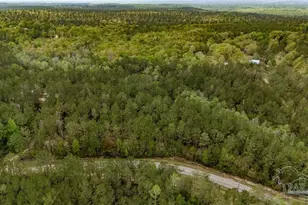 4660 Morristown Rd, Jay, FL 32565 - Photo 3