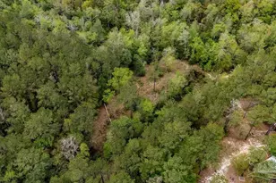 4660 Morristown Rd, Jay, FL 32565 - Photo 9