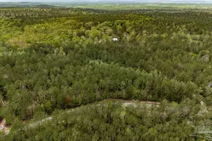 4660 Morristown Rd, Jay, FL 32565 - Photo 37