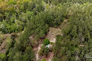 4660 Morristown Rd, Jay, FL 32565 - Photo 41