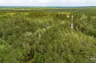 4660 Morristown Rd, Jay, FL 32565 - Photo 11