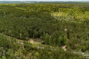 4660 Morristown Rd, Jay, FL 32565 - Photo 45