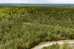 4660 Morristown Rd, Jay, FL 32565 - Photo 29