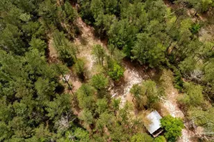 4660 Morristown Rd, Jay, FL 32565 - Photo 7