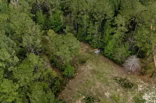 4660 Morristown Rd, Jay, FL 32565 - Photo 13