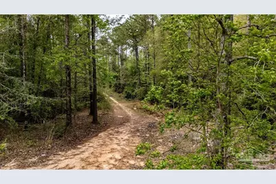 4660 Morristown Rd, Jay, FL 32565 - Photo 51