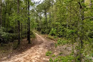 4660 Morristown Rd, Jay, FL 32565 - Photo 51