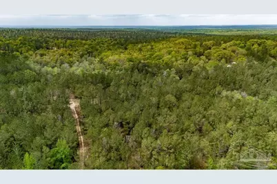 4660 Morristown Rd, Jay, FL 32565 - Photo 47