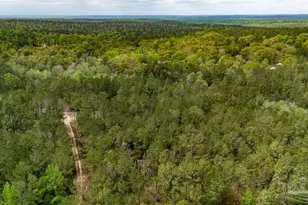 4660 Morristown Rd, Jay, FL 32565 - Photo 47