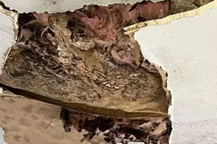 5795 Avenida Robledal, Pensacola, FL 32504 - Photo 27