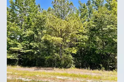 Lot 49 Mineral Springs Rd, Jay, FL 32565 - Photo 13