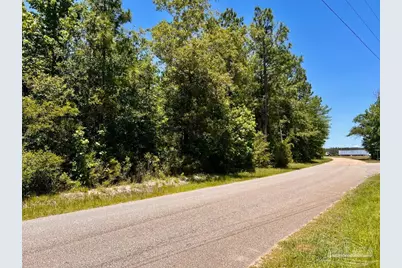 Lot 49 Mineral Springs Rd, Jay, FL 32565 - Photo 5