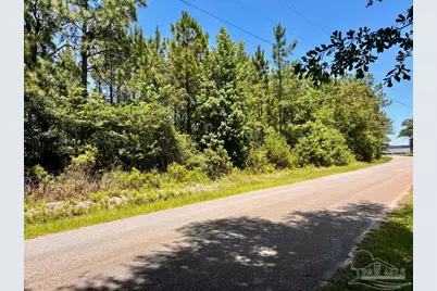 Lot 49 Mineral Springs Rd, Jay, FL 32565 - Photo 9