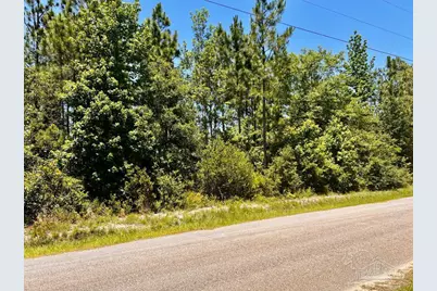 Lot 49 Mineral Springs Rd, Jay, FL 32565 - Photo 7