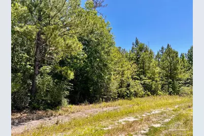 Lot 49 Mineral Springs Rd, Jay, FL 32565 - Photo 11