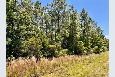 Lot 50 Mineral Springs Rd, Jay, FL 32565 - Photo 11