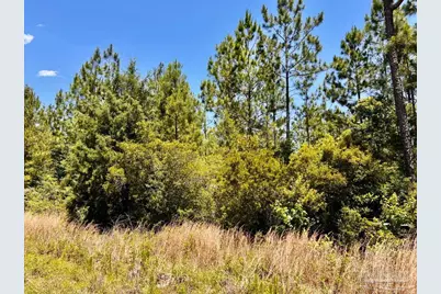 Lot 50 Mineral Springs Rd, Jay, FL 32565 - Photo 13