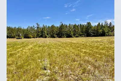 Lot 50 Mineral Springs Rd, Jay, FL 32565 - Photo 3