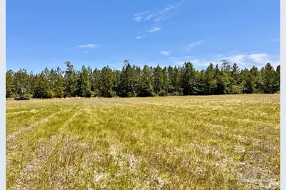 Lot 50 Mineral Springs Rd, Jay, FL 32565 - Photo 19