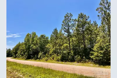 Lot 50 Mineral Springs Rd, Jay, FL 32565 - Photo 9