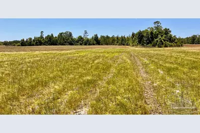 Lot 50 Mineral Springs Rd, Jay, FL 32565 - Photo 17