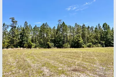 Lot 50 Mineral Springs Rd, Jay, FL 32565 - Photo 15