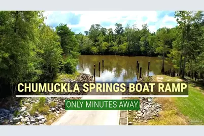 Lot 50 Mineral Springs Rd, Jay, FL 32565 - Photo 21