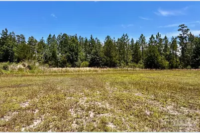 Lot 51 Mineral Springs Rd, Jay, FL 32565 - Photo 13