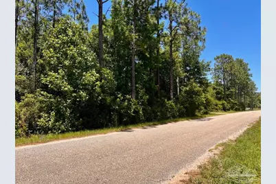 Lot 51 Mineral Springs Rd, Jay, FL 32565 - Photo 3