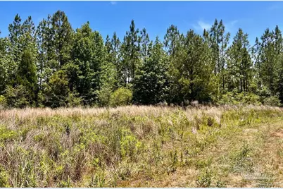 Lot 51 Mineral Springs Rd, Jay, FL 32565 - Photo 9