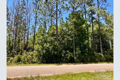 Lot 51 Mineral Springs Rd, Jay, FL 32565 - Photo 5