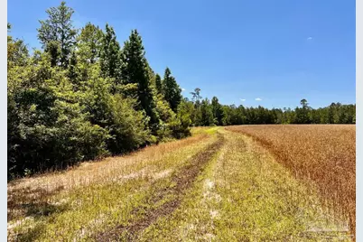 Lot 56 Mineral Springs Rd, Jay, FL 32565 - Photo 5