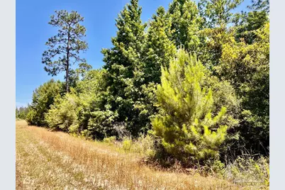 Lot 56 Mineral Springs Rd, Jay, FL 32565 - Photo 3