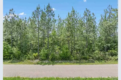 Lot 52 Mineral Springs Rd, Jay, FL 32565 - Photo 1