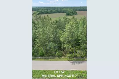 Lot 52 Mineral Springs Rd, Jay, FL 32565 - Photo 3