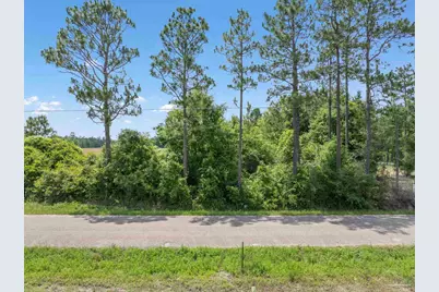 Lot 54 Mineral Springs Rd, Jay, FL 32565 - Photo 1