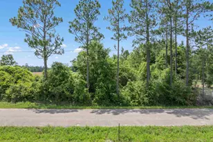 Lot 54 Mineral Springs Rd, Jay, FL 32565 - Photo 1