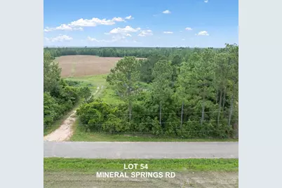 Lot 54 Mineral Springs Rd, Jay, FL 32565 - Photo 3