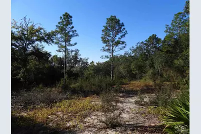 00 Log Lake Rd, Holt, FL 32564 - Photo 7