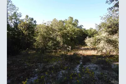 00 Log Lake Rd, Holt, FL 32564 - Photo 9