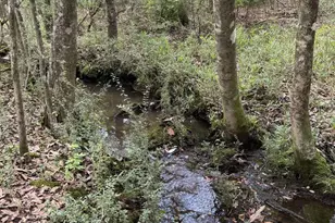 2271 Horn Rd, Milton, FL 32570 - Photo 45