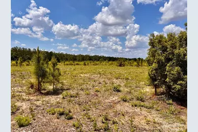 Lot 48 South Timber Ln, Jay, FL 32565 - Photo 15