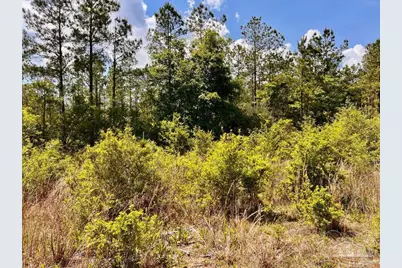 Lot 48 South Timber Ln, Jay, FL 32565 - Photo 19