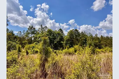 Lot 48 South Timber Ln, Jay, FL 32565 - Photo 17
