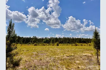 Lot 48 South Timber Ln, Jay, FL 32565 - Photo 13