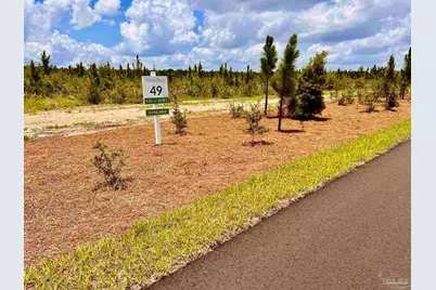 Lot 49 South Timber Ln, Jay, FL 32565 - Photo 9